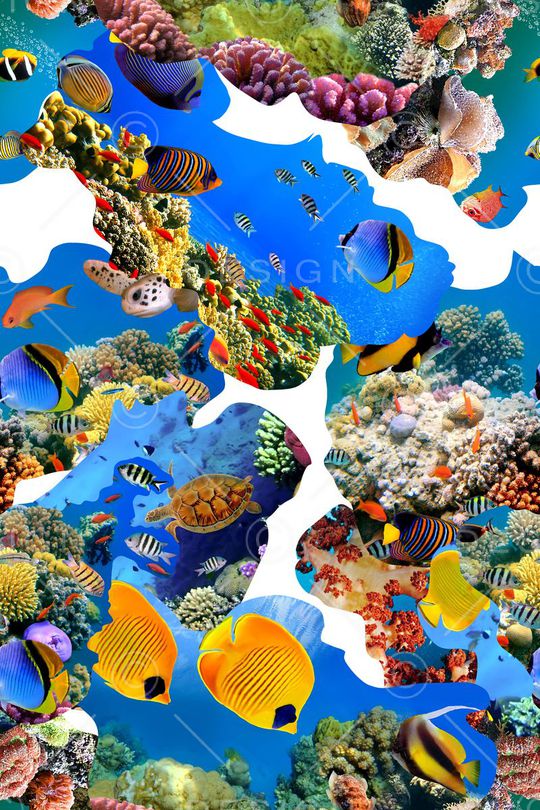 海底世界印花华亿平台图片