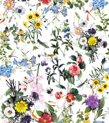 365802-花卉 昆虫花园-1