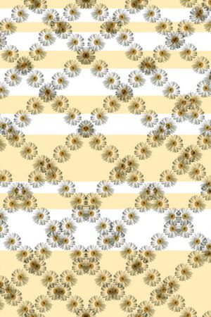 ♥红桃A〖花鸟天堂〗印花华亿平台图片