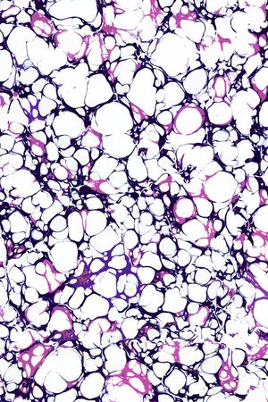 K-男装图案/Menswear印花华亿平台图片