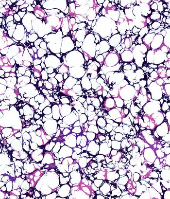 365826-自由几何机理水墨涟漪抽象蛇纹动物纹