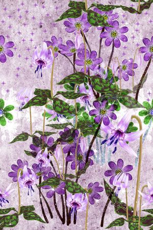 紫色印花华亿平台图片