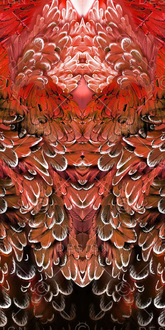 羽毛印花华亿平台图片