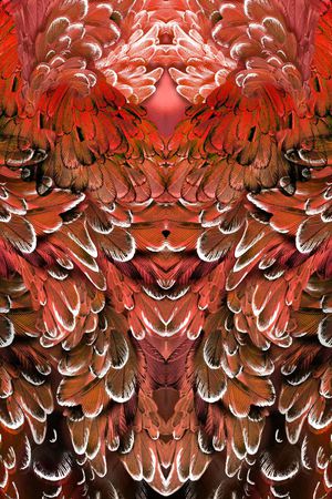 羽毛印花华亿平台图片