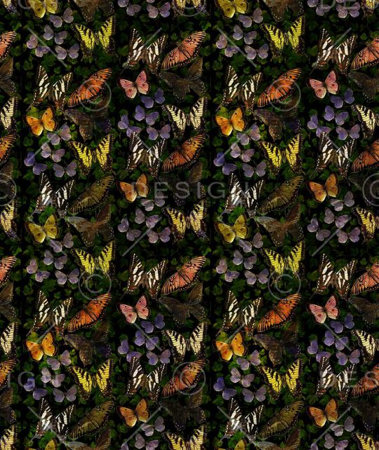 蝴蝶印花华亿平台图片