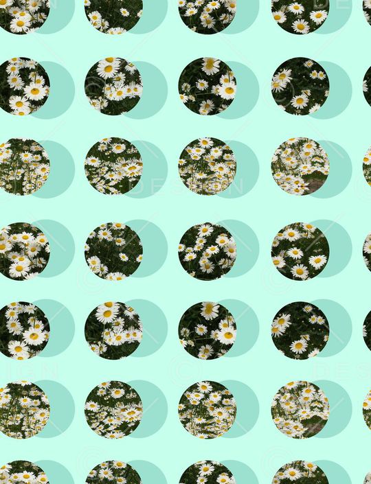 ♥红桃A〖花鸟天堂〗印花华亿平台图片