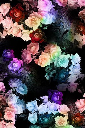 玫瑰花印花华亿平台图片