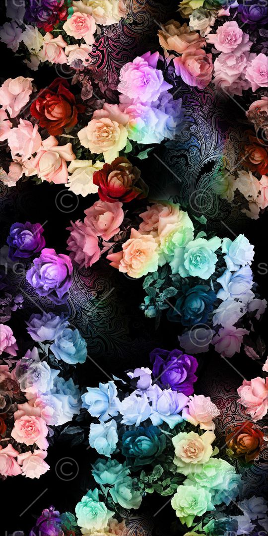 玫瑰花印花华亿平台图片