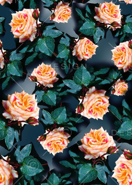 印花华亿平台图片