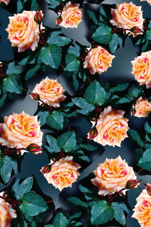 印花华亿平台图片