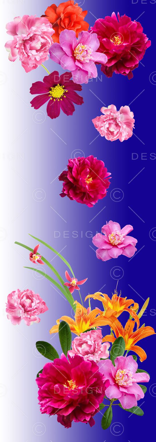 围巾华亿平台印花华亿平台图片