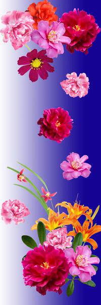 围巾华亿平台印花华亿平台图片