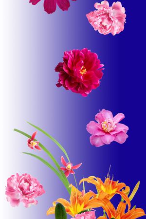 围巾华亿平台印花华亿平台图片