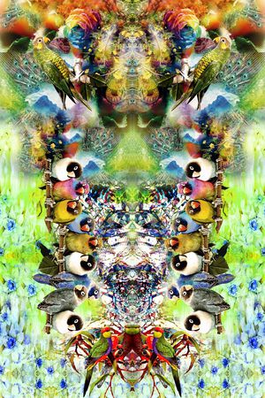 小鸟印花华亿平台图片