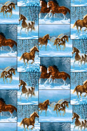 动物华亿平台动物纹印花华亿平台图片