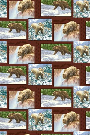 动物华亿平台动物纹印花华亿平台图片