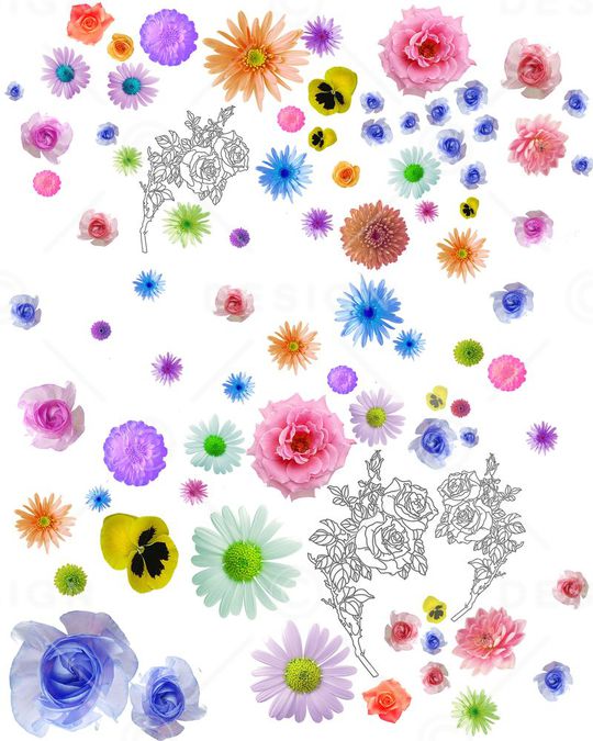 花卉印花华亿平台图片