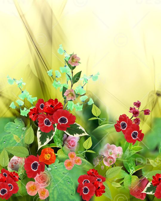 定位印花华亿平台图片