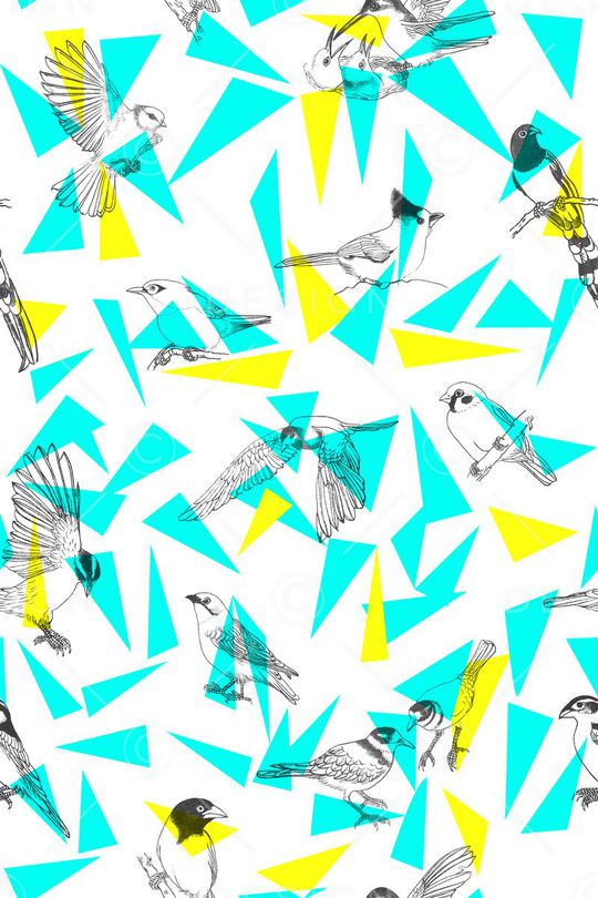 手绘鸟印花华亿平台图片