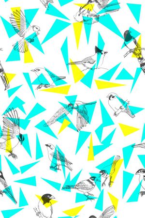 手绘鸟印花华亿平台图片