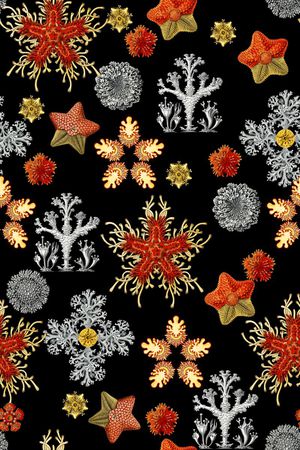 珊瑚印花华亿平台图片