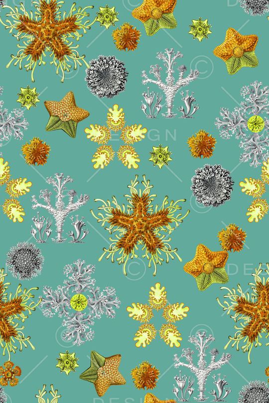 珊瑚印花华亿平台图片