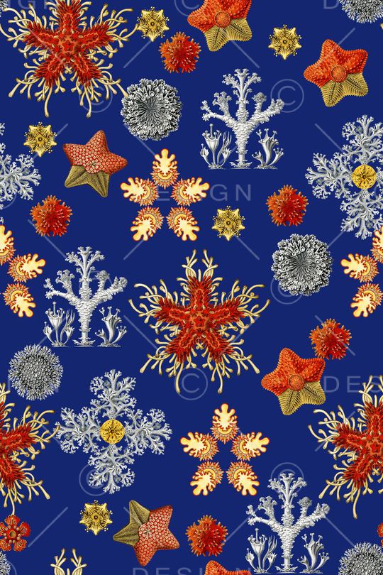 珊瑚印花华亿平台图片