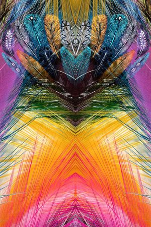 C-动物华亿平台/Animal印花华亿平台图片