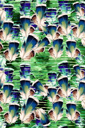 羽毛印花华亿平台图片