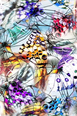 蝴蝶印花华亿平台图片