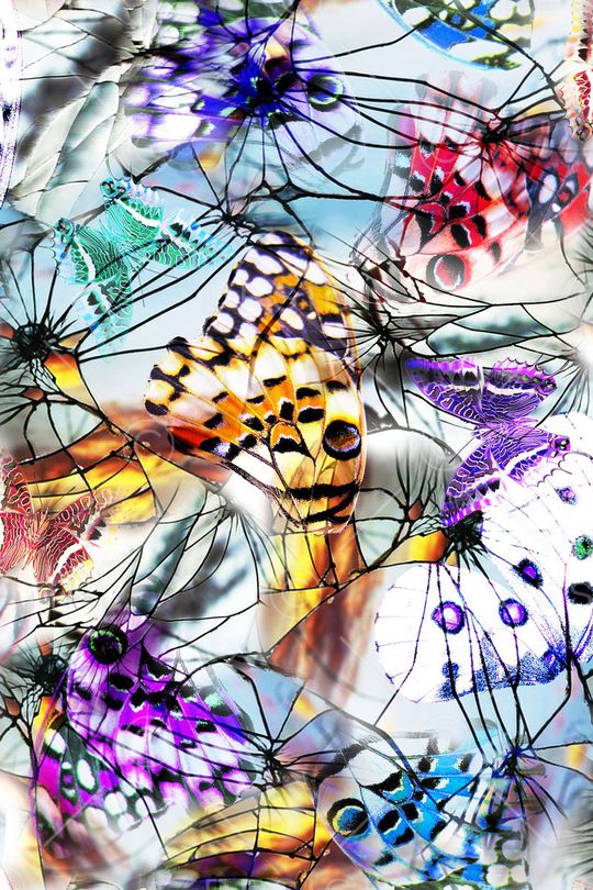 蝴蝶印花华亿平台图片