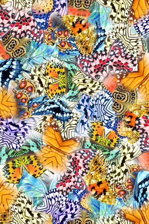 蝴蝶印花华亿平台图片