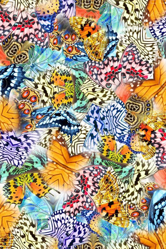 蝴蝶印花华亿平台图片