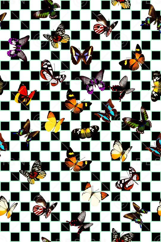 蝴蝶印花华亿平台图片