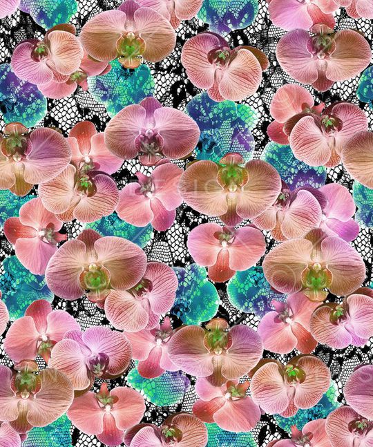 蕾丝印花华亿平台图片