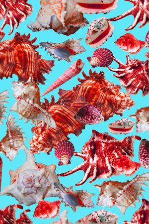 海螺印花华亿平台图片