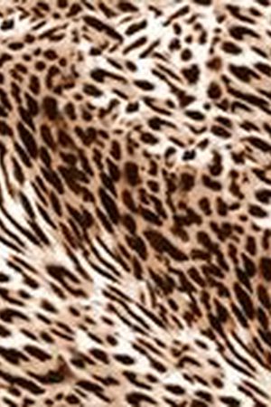 豹纹印花华亿平台图片