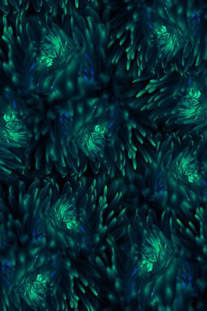 植物印花华亿平台图片