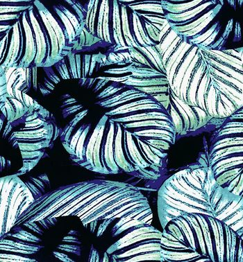 叶子印花华亿平台图片