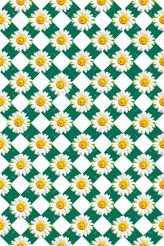 雏菊印花华亿平台图片