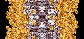 抽像印花华亿平台图片