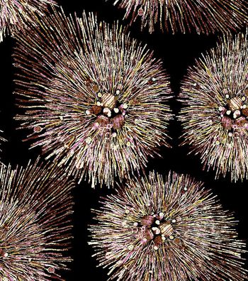 抽像印花华亿平台图片