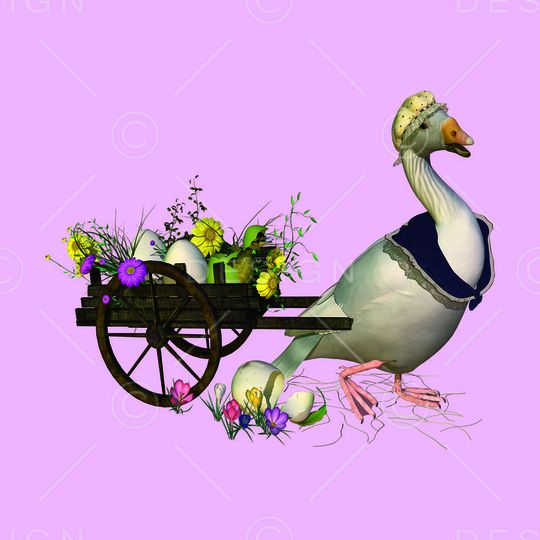 鸭子印花华亿平台图片