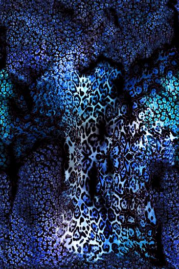 豹纹印花华亿平台图片