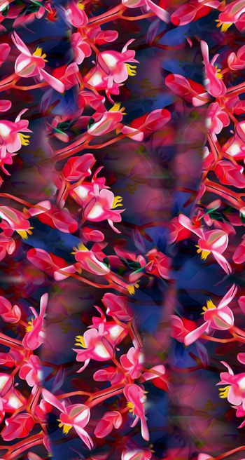 打折华亿平台印花华亿平台图片