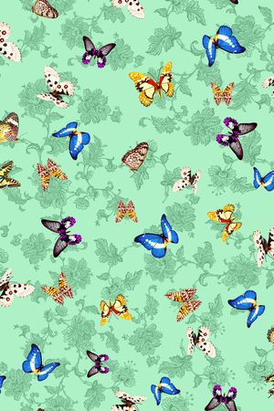 蝴蝶印花华亿平台图片