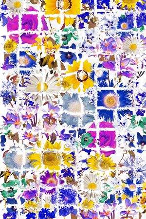 旗袍印花华亿平台图片