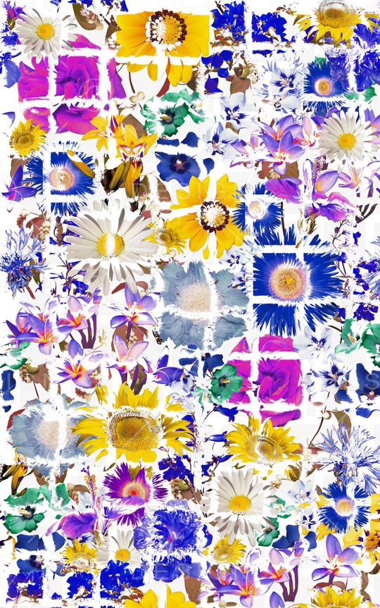 旗袍印花华亿平台图片