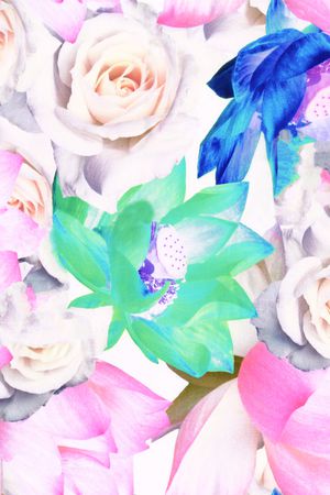 莲花印花华亿平台图片