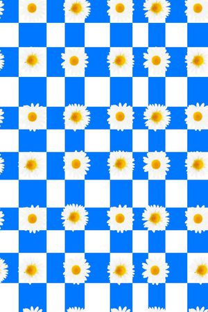 白色雏菊印花华亿平台图片